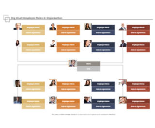 Organigramma automatizzato