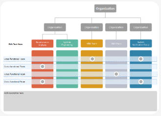 Organigramma interfunzionale