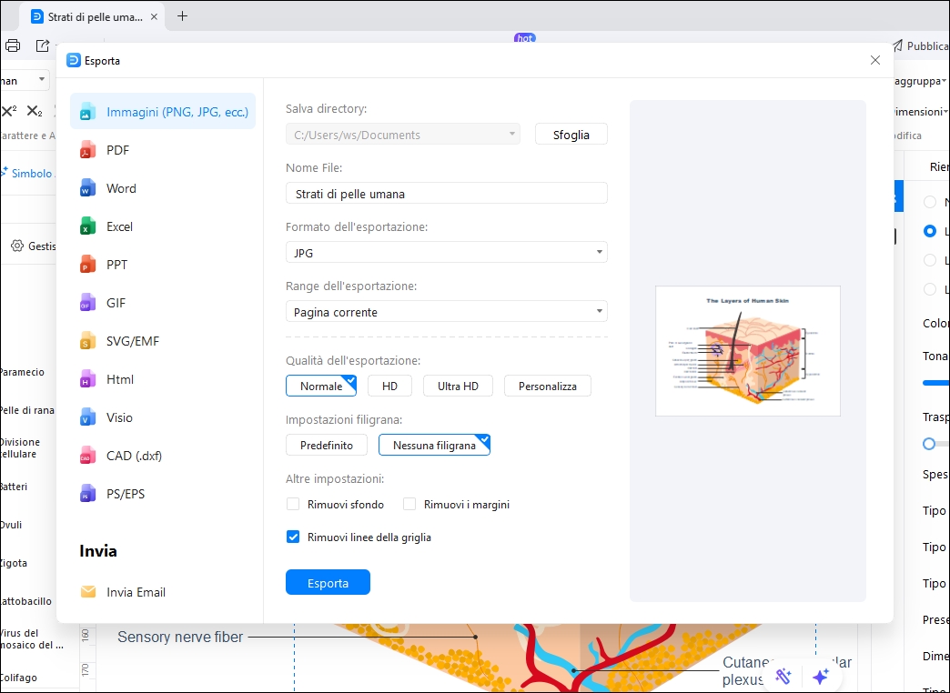 Supporto input/output multiformato