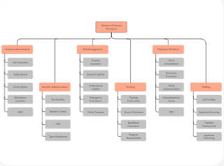 Organigramma delle risorse umane