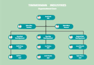 Organigramma in powerpoint