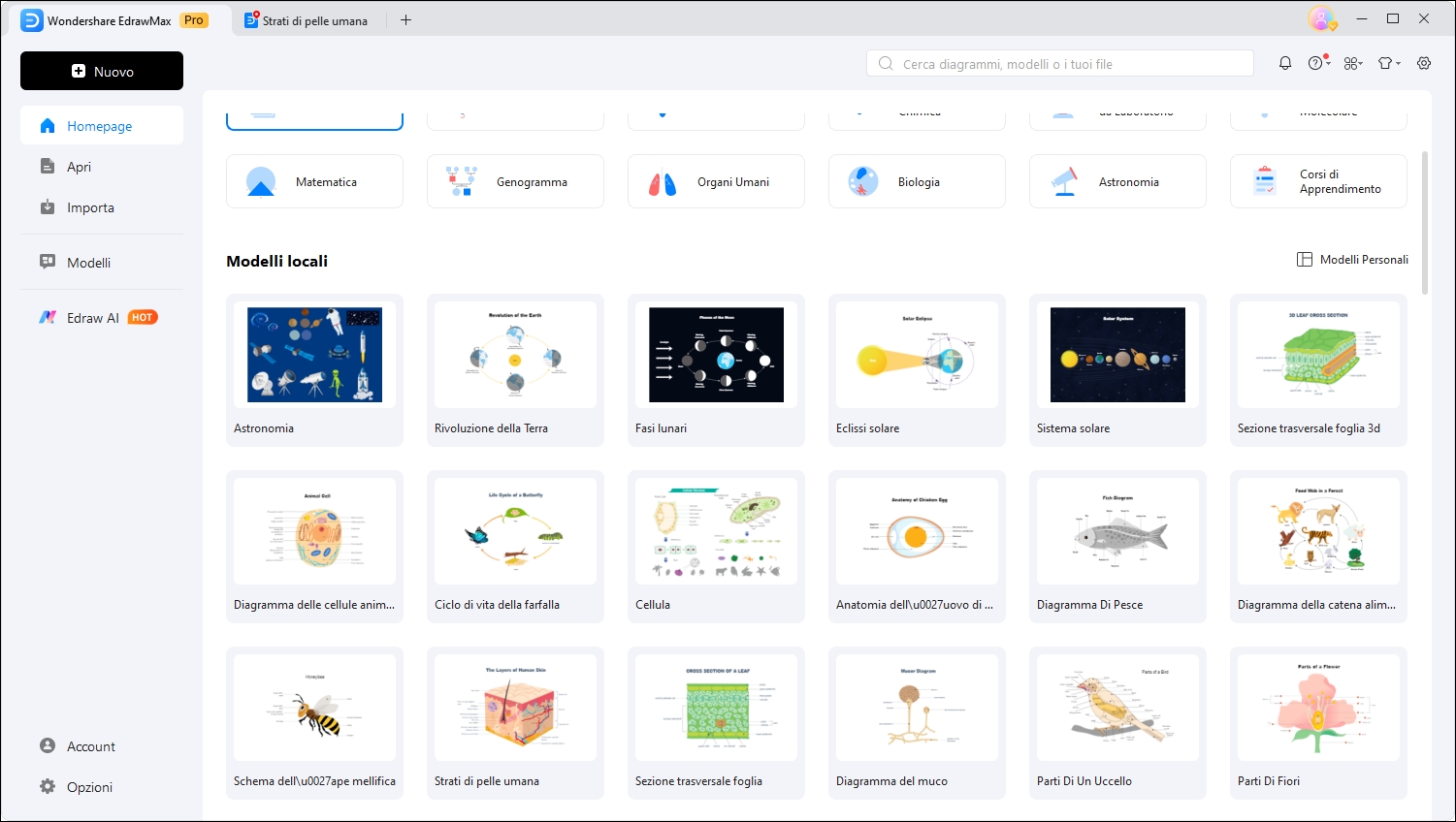 Abbondanti risorse vettoriali