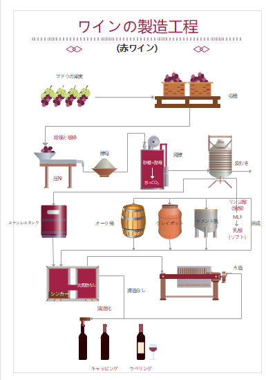 ワイン製造工程プロセス