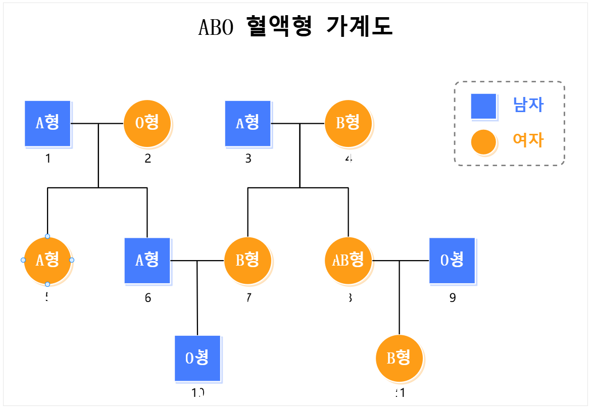 ABO 혈액형 가계도