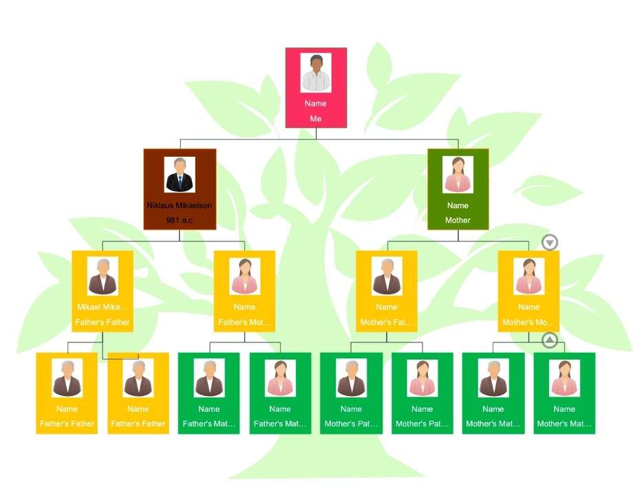 4-generation-family-tree-template-01.jpg