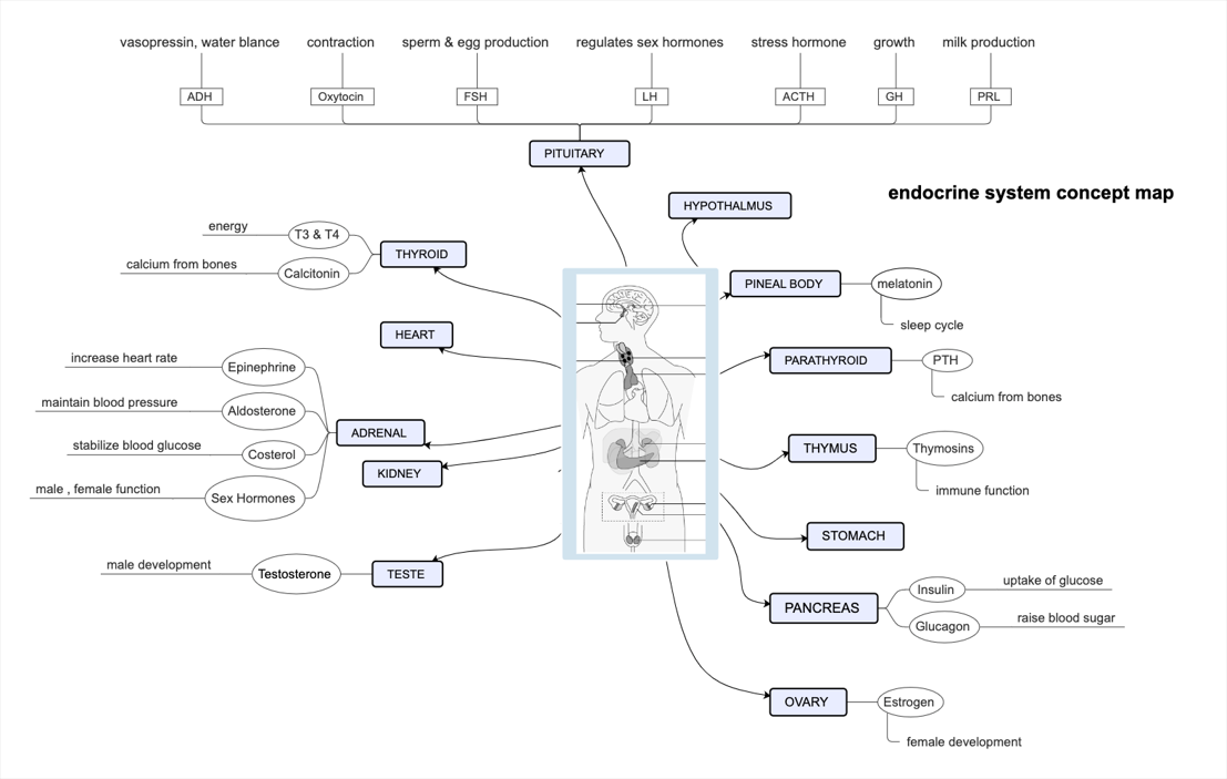 conceptmap6.png