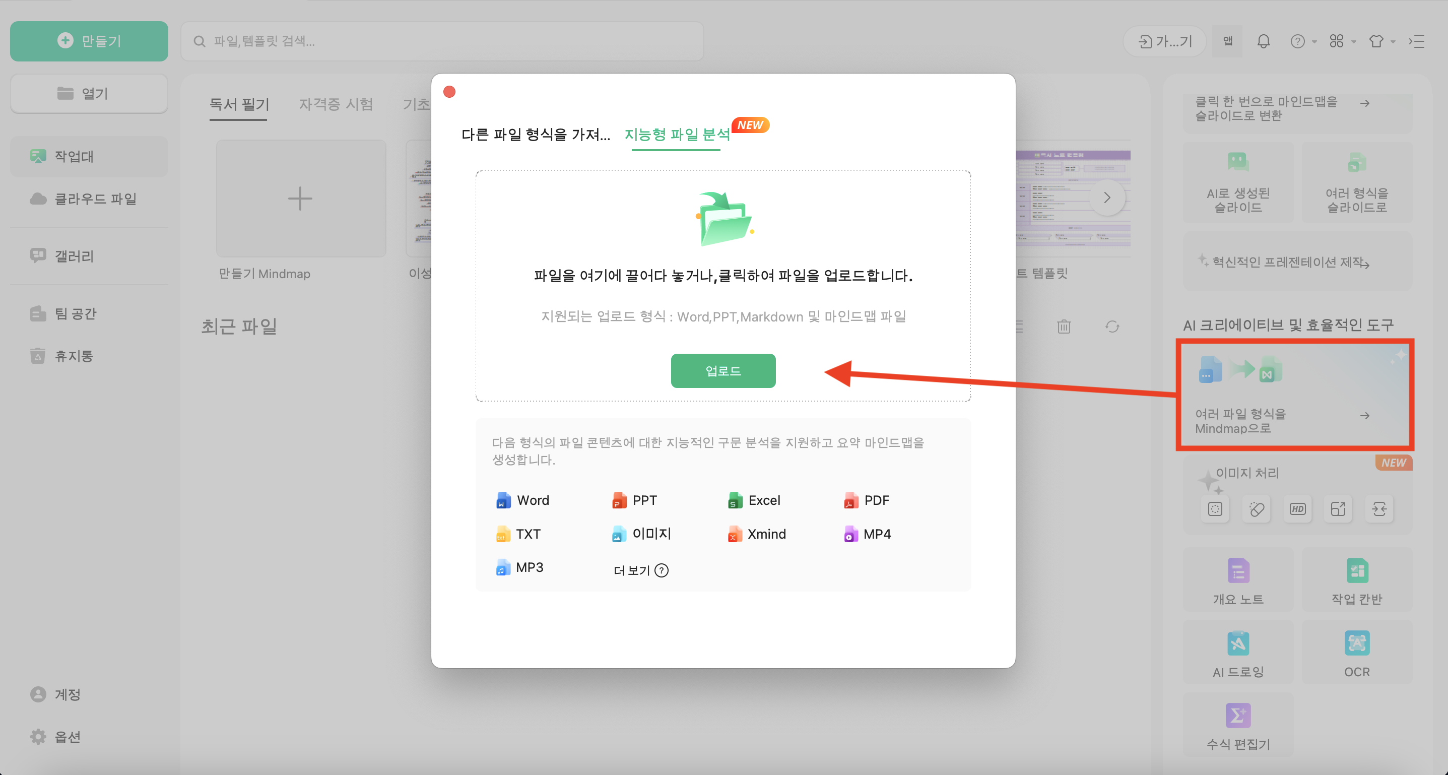AI 요약 및 분석 기능