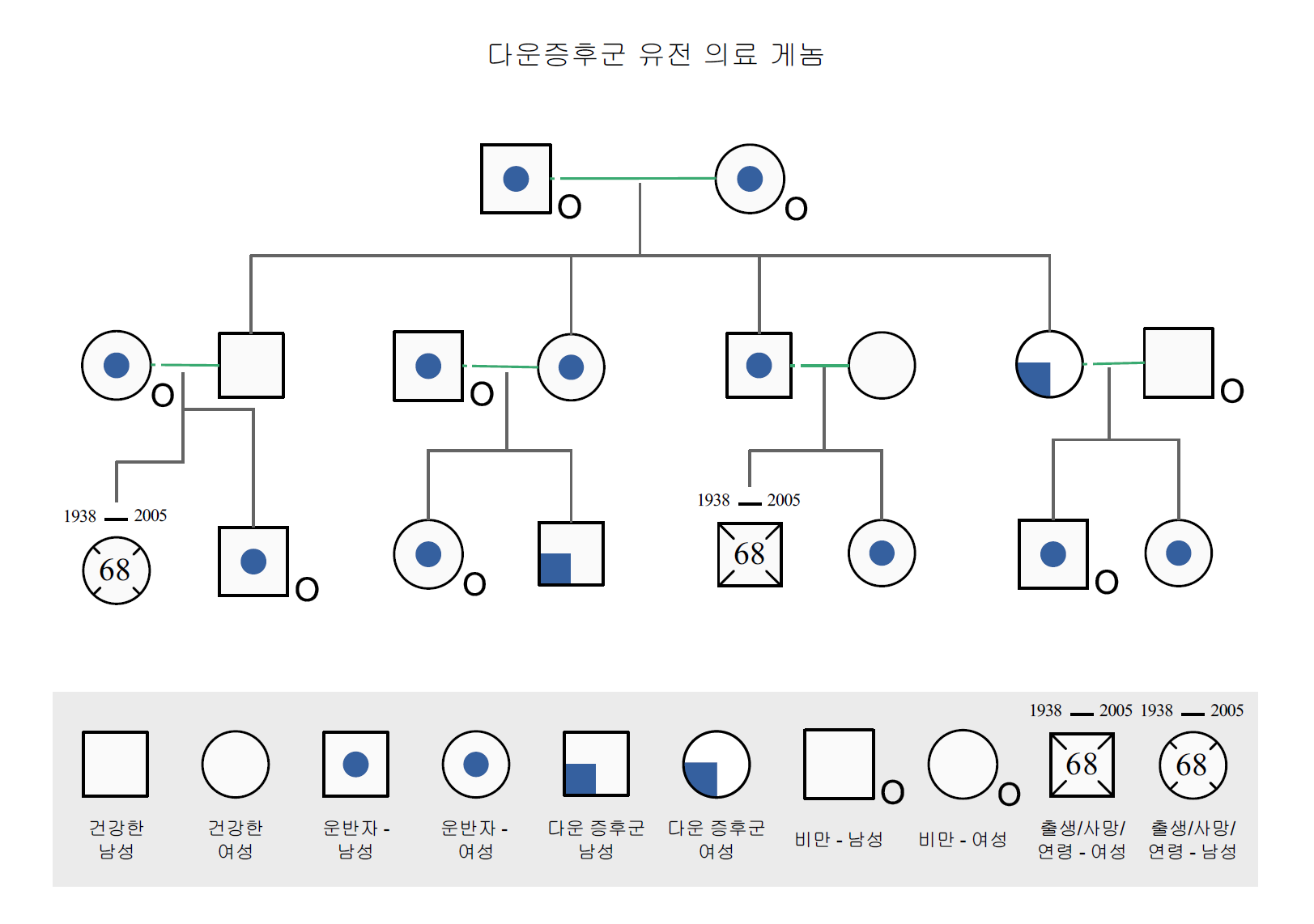 free-editable-genogram3.png