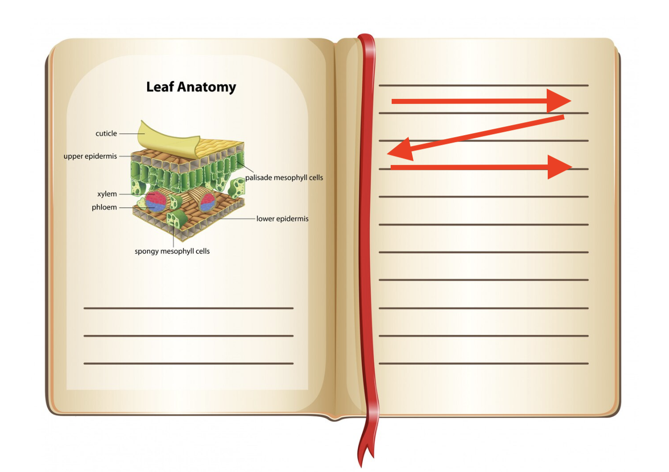 gutenberg-diagram3.png