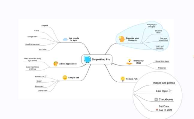 top5-mindmap-app2